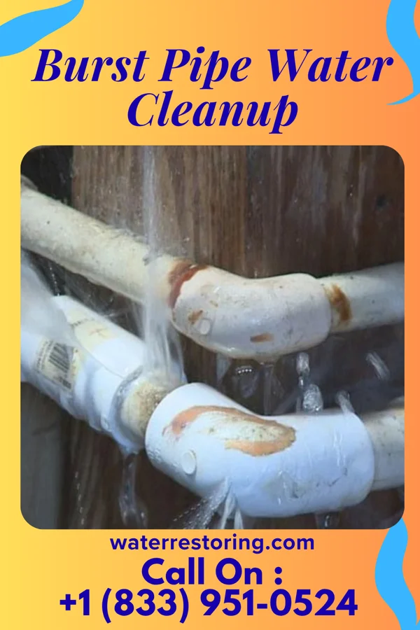 Burst Pipe Water Cleanup in Nolensville, TN