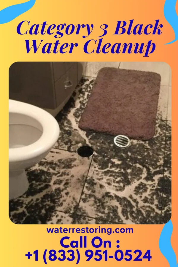 Category 3 Black Water Cleanup in Nolensville, TN